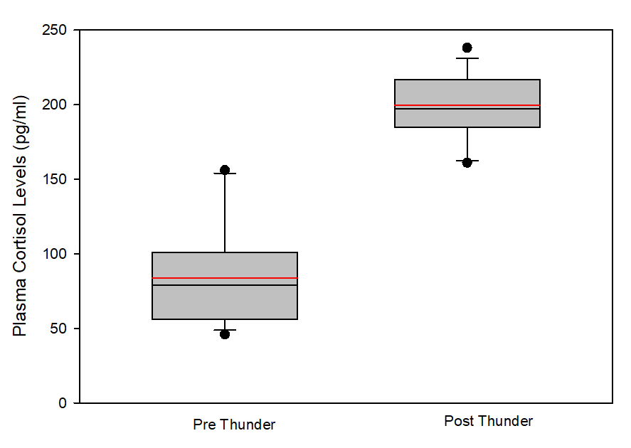 Serum levels cortisol were collected prior to presentation of Thunder and again within 8 minutes after the presentation of thunder
